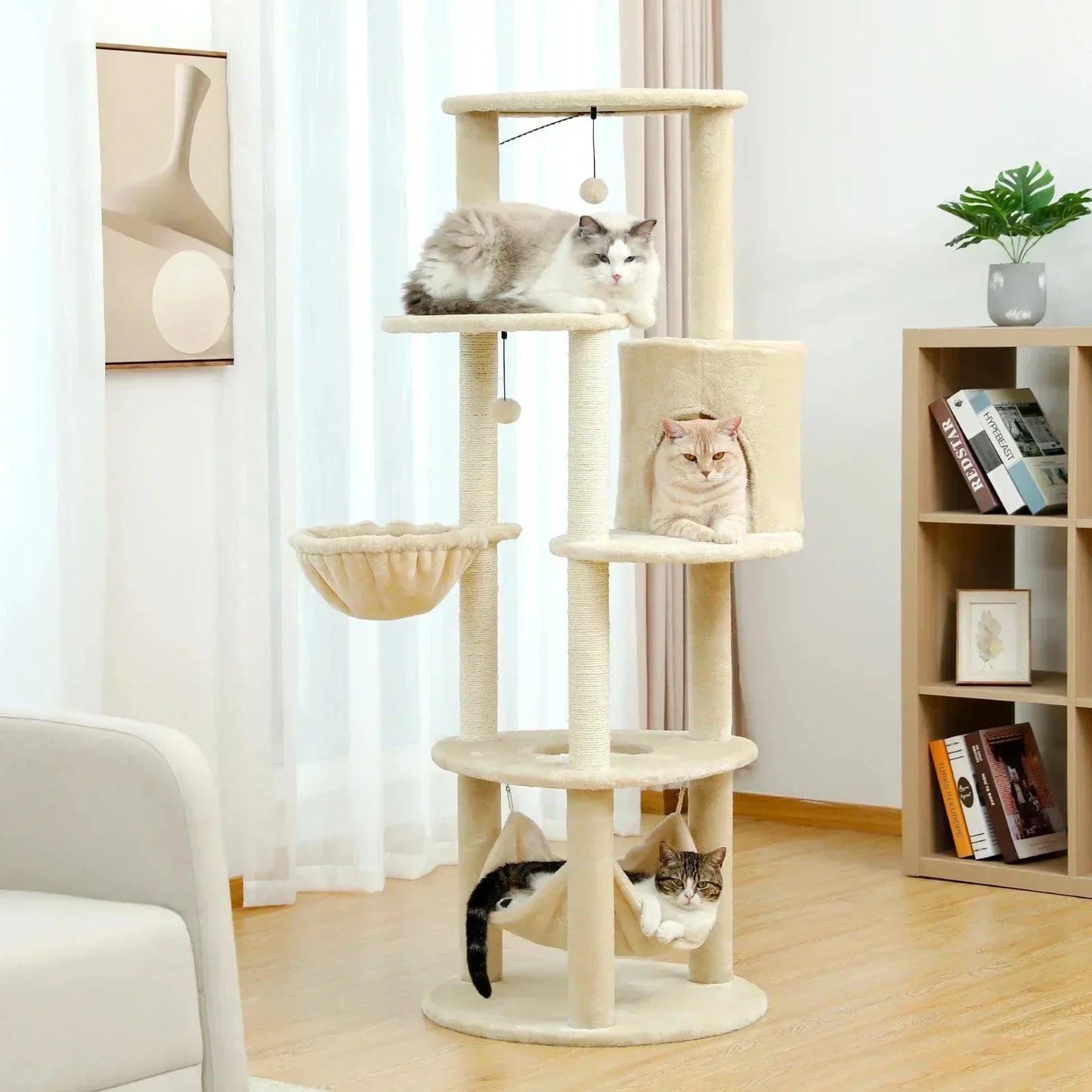 l-arbre-a-chat.com Arbre a Chat Modern