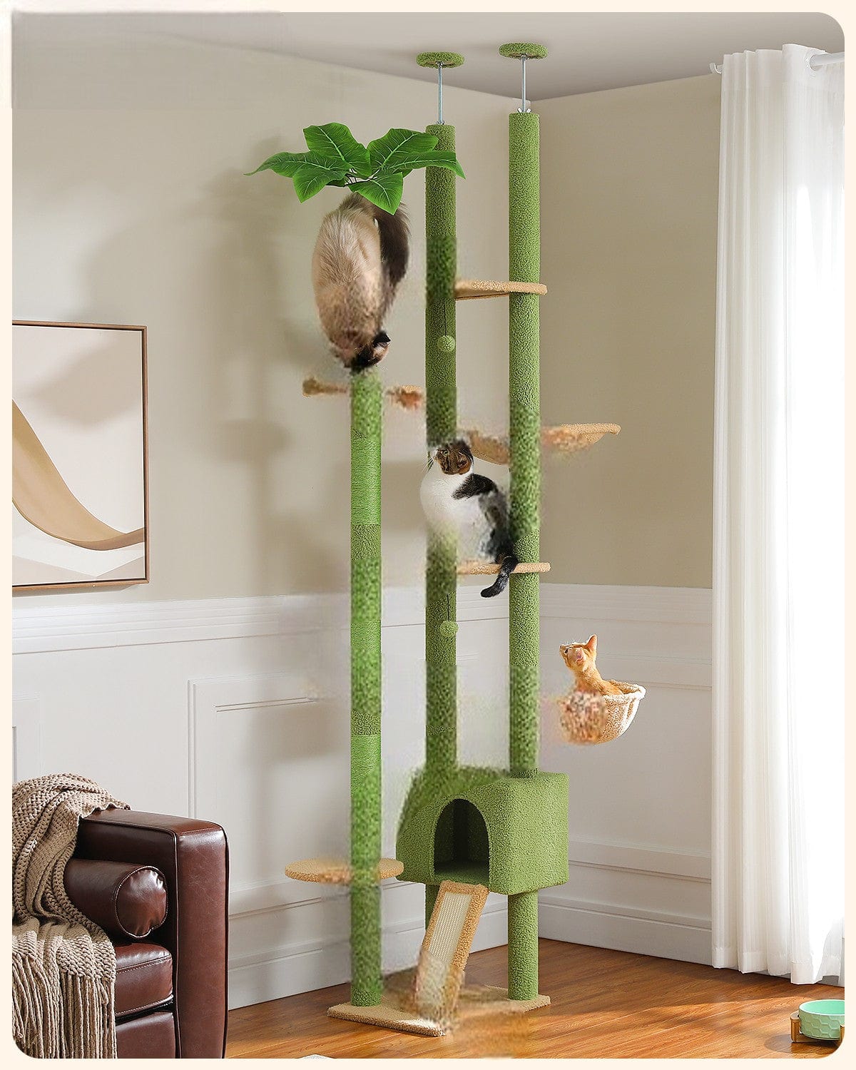 l-arbre-a-chat.com Arbre a Chat Moderne