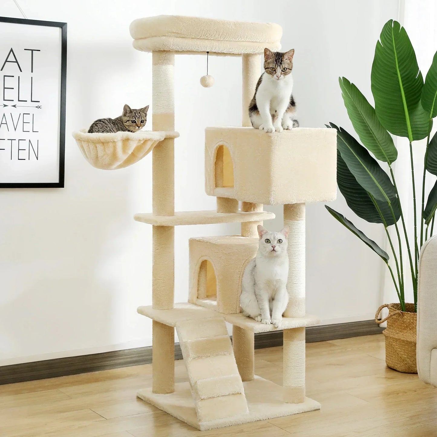 l-arbre-a-chat.com Arbre a Chat pour Adulte